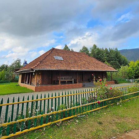 Nature Castle -Traditional Villa,Vattavada Kottakamboor Luaran gambar